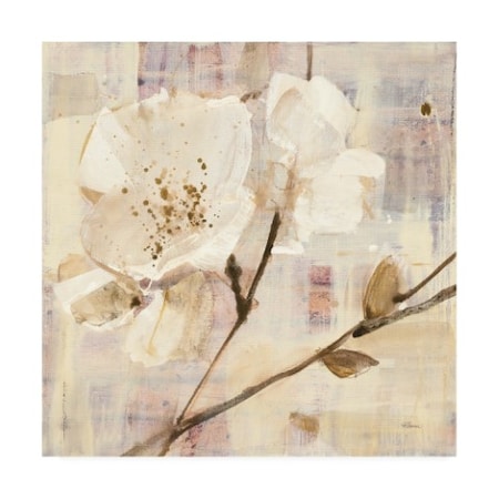 Trademark Fine Art Albena Hristova 'Elegance I' Canvas Art, 24x24 WAP10615-C2424GG